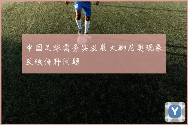 中国足球需务实发展大脚尼奥现象反映何种问题