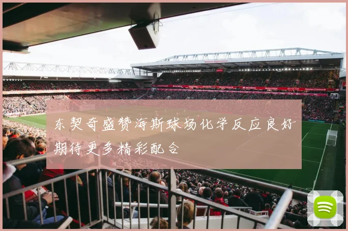 东契奇盛赞海斯球场化学反应良好期待更多精彩配合