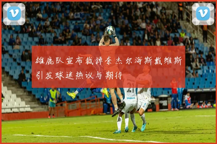 雄鹿队宣布裁掉奈杰尔海斯戴维斯引发球迷热议与期待