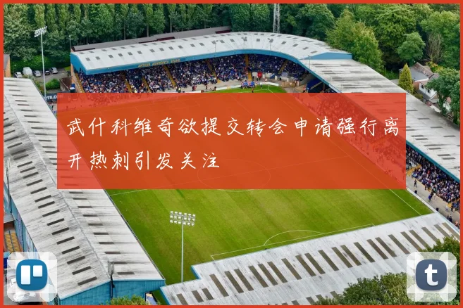 武什科维奇欲提交转会申请强行离开热刺引发关注